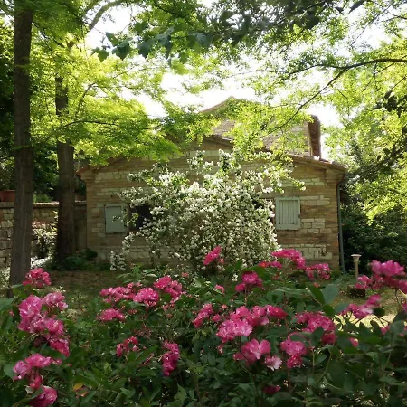 Del Frontino - Ca' Benvenuto * Acqualagna