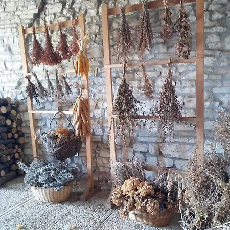 Del Frontino - Ca' Benvenuto * Acqualagna