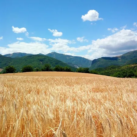 Del Frontino - Ca' Benvenuto *
