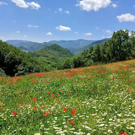 Del Frontino - Ca' Benvenuto Ferienhaus *